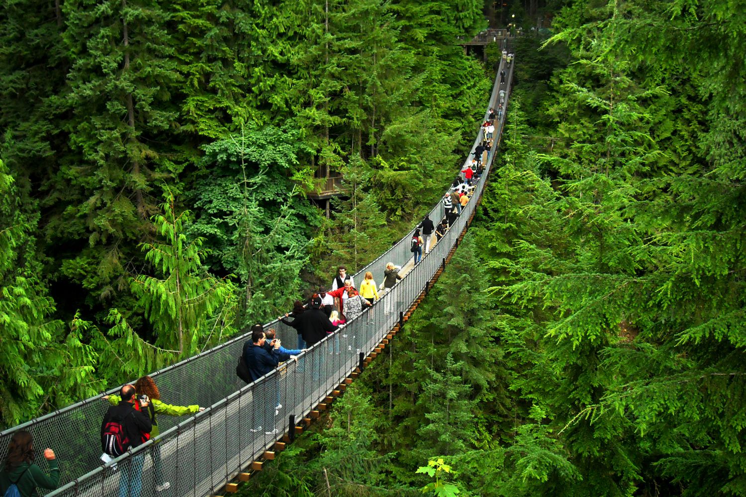 capilano-suspension-bridge-puente-colgante-vancouver-canada