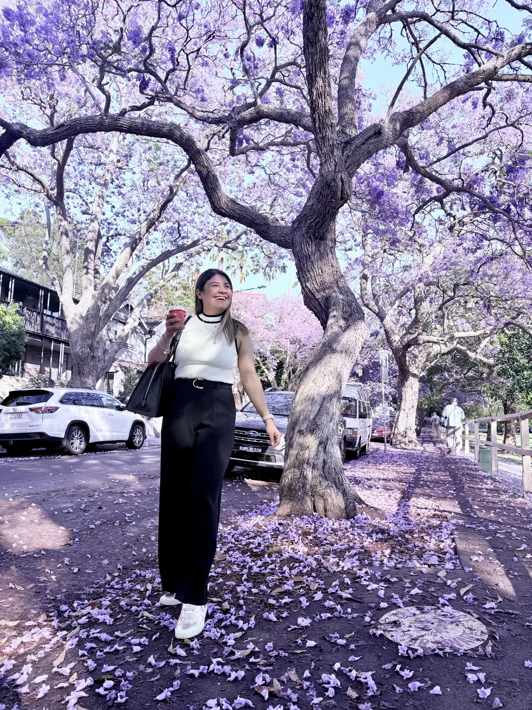 Jacarandas en primavera
